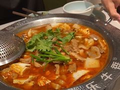 -古乐牛香鲜牛肉牛杂火锅(观前街店)