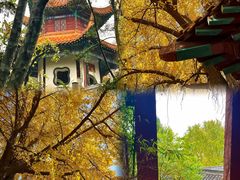 -戏马台景区