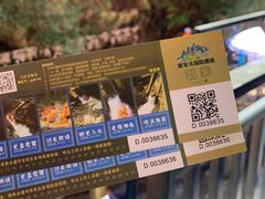 -将军关探险漂流