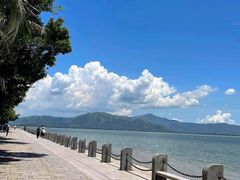 -深圳湾公园(南山区)