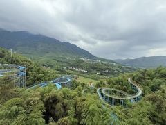 -江南天池