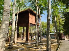 -南宫五洲植物乐园