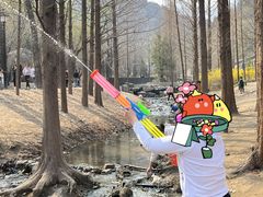 -白水寺森林公园