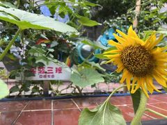 -金豆子幼稚园
