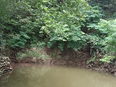 -秦岭终南山世界地质公园翠华山景区