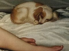 -乌菲兹美术馆