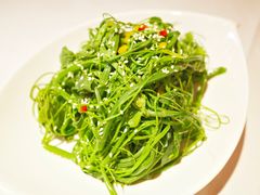 凉拌丝瓜尖-峨嵋酒家总店(车公庄店)