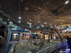 -国家自然博物馆