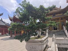 -上海东林寺(金山区)