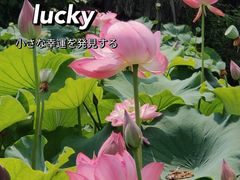 -成都市文化公园