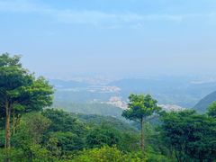 -梧桐山风景名胜区