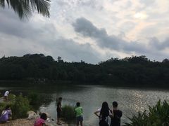 -深圳仙湖植物园-停车场