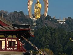 -庐山风景名胜区-东林大佛