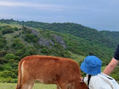 -大姆山草场
