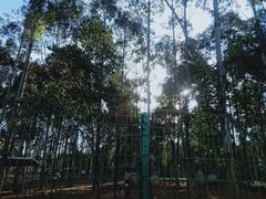 -空港花田景区