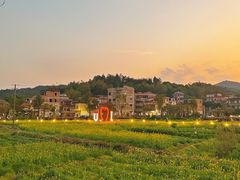 -红山村