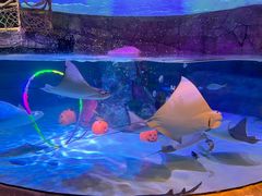 -沈阳海洋探索中心