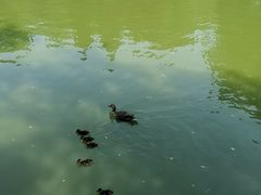 -团结湖公园