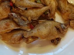 -逸林轩中餐厅(中信泰富朱家角锦江酒店)