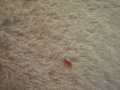 -星河湾温泉洗浴酒店