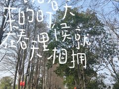 -西溪国家湿地公园