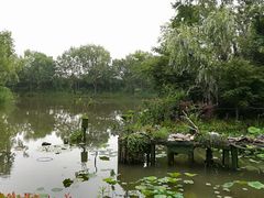 -新江湾城公园