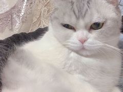 -芭比堂动物医院·犬猫全科·异宠专科(雁塔分院)