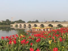 -绿堤公园