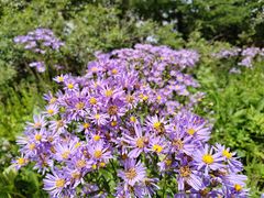 -白草畔自然风景区