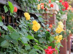 -天津五大道文化旅游区