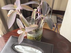 -金陵新城饭店