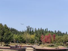 -东郊湿地公园
