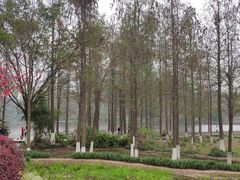 -重庆彩云湖湿地公园