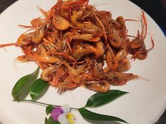 -权茂上海菜(殷行路店)