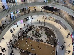 -上海七宝领展广场
