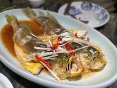 -前海沿·青岛菜(乐客城店)