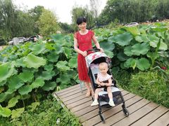 -三圣花乡旅游区