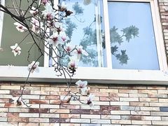 -南京古林公园