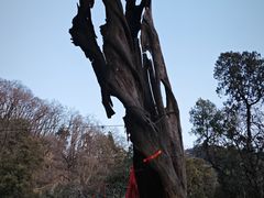 -泰山风景名胜区