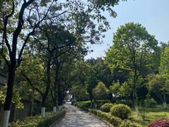 -重庆平顶山公园
