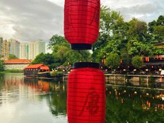 -侨美·唐荔园·40年地道粤菜