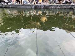 -DGE季风钓虾营地·团建·聚会