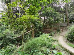 -火炉山森林公园