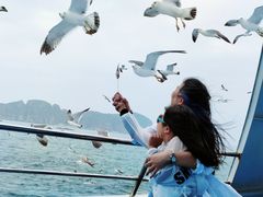 -海驴岛(荣成市)