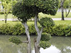 -五世皇金柚木行宫(维护中)