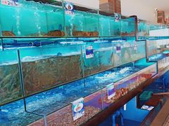 水产区-南海渔家•海鲜•正宗海南菜(海棠湾店)