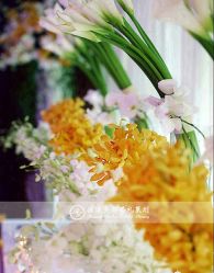 -新锦江大酒店·宴会厅·婚宴