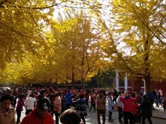-辽宁大学(崇山校区)