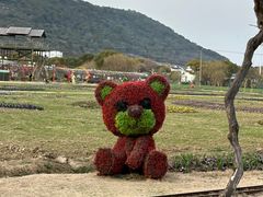 -苏州太湖西山岛开心农场