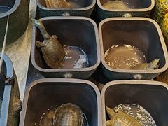 -烹湘·鲜炒湖南土菜(海珠店)